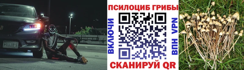 darknet официальный сайт  Сочи  Псилоцибиновые грибы GOLDEN TEACHER 