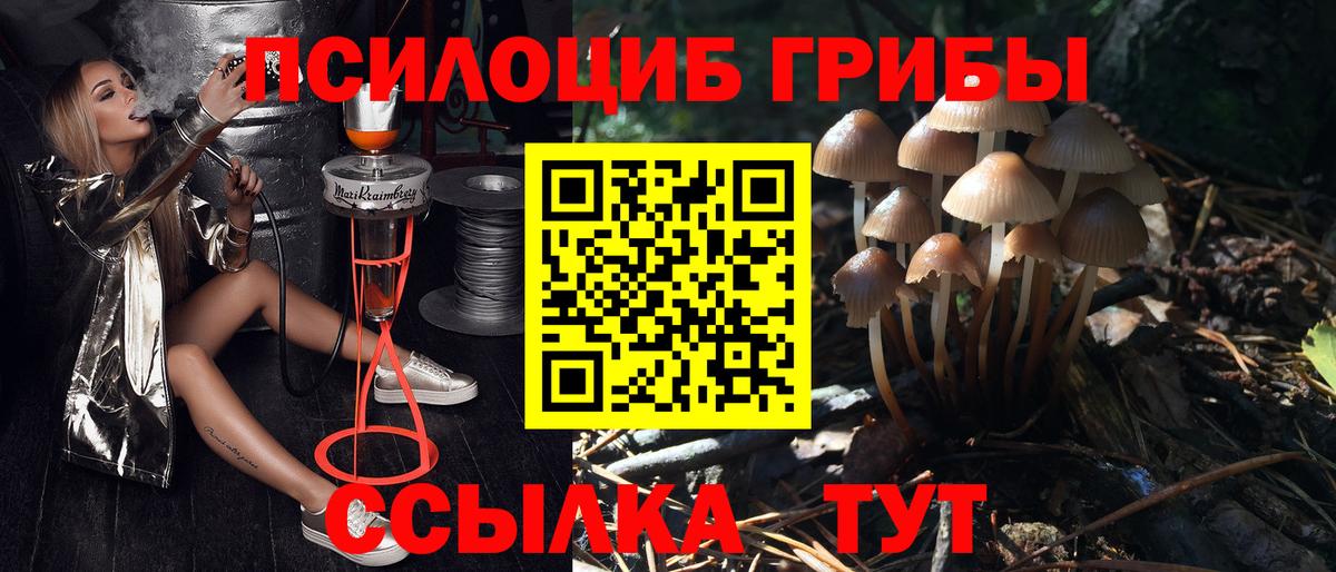 Галлюциногенные грибы мухоморы Сочи